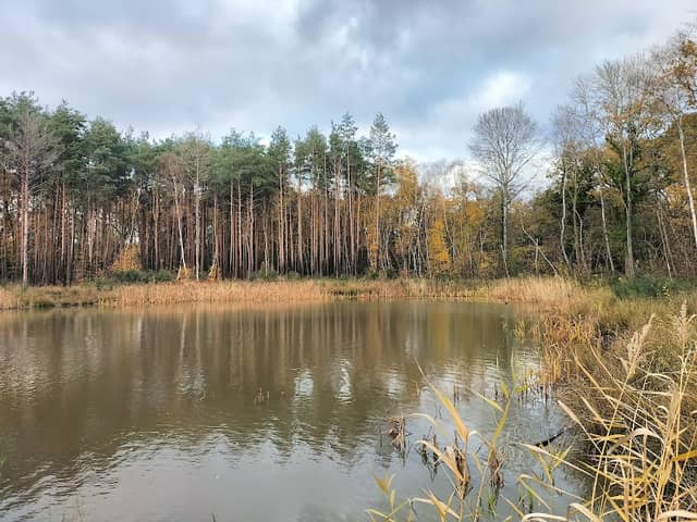 Park - Image 1