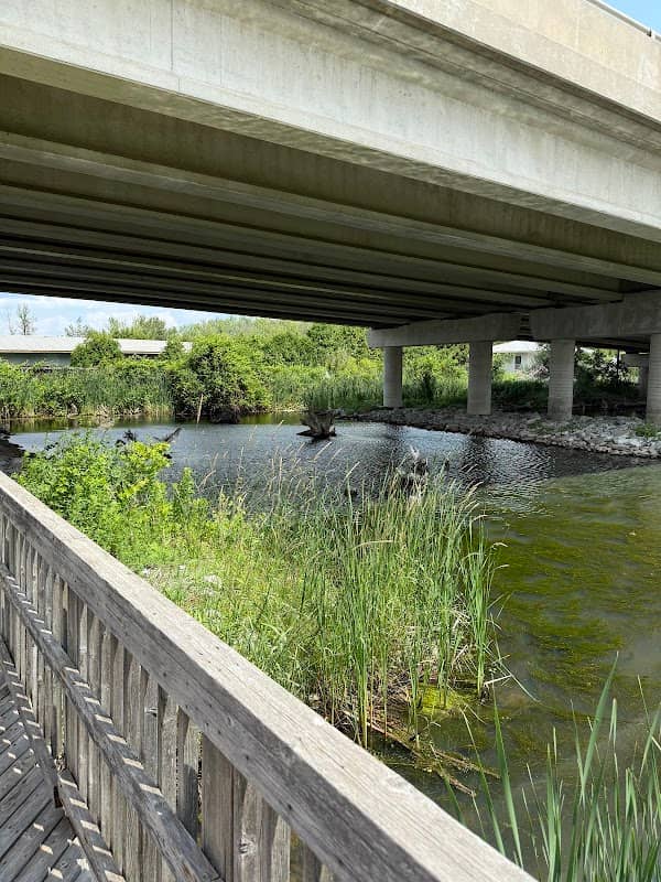 Mnjikaning Fish Weirs National Historic Site - Image 2