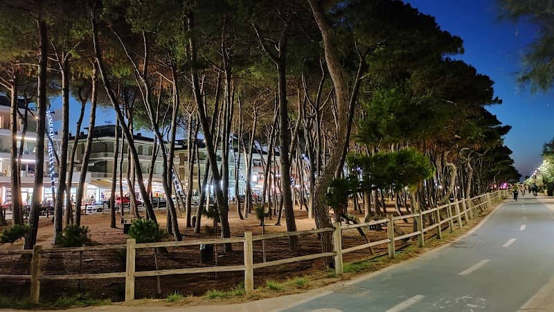 La Pineta - Image 1