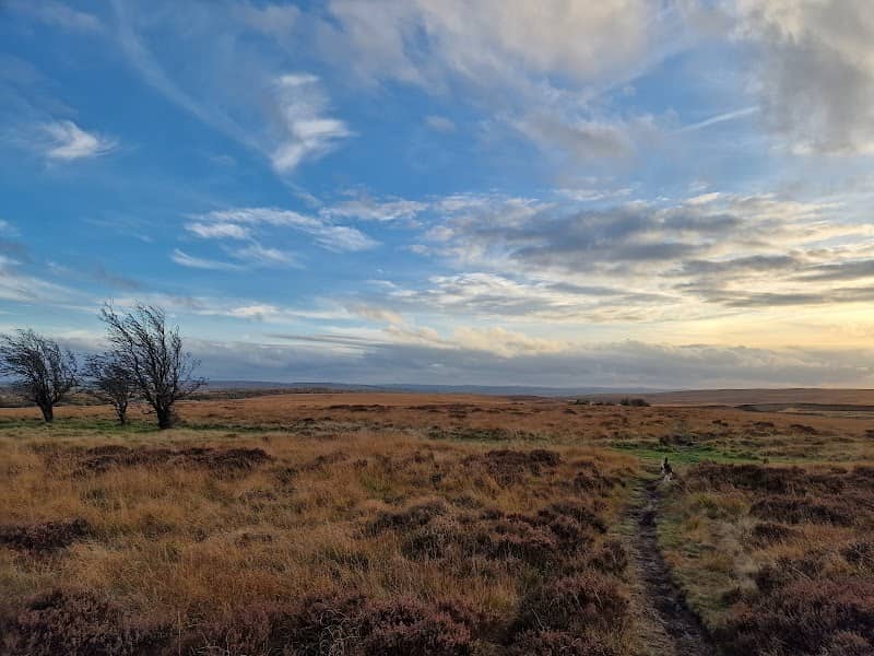 Thistle Park - Image 1