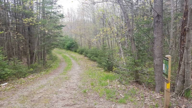 Tyler Brook Reserve - Image 2