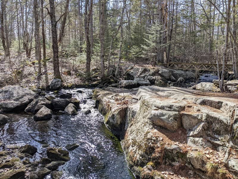 Tyler Brook Reserve - Image 1