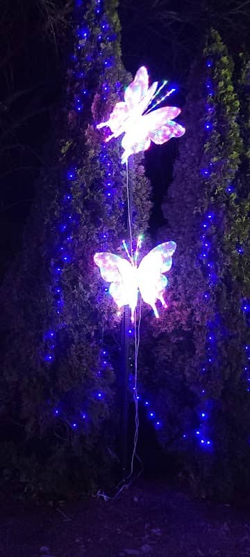 Winterfest Riverwalk - Image 1
