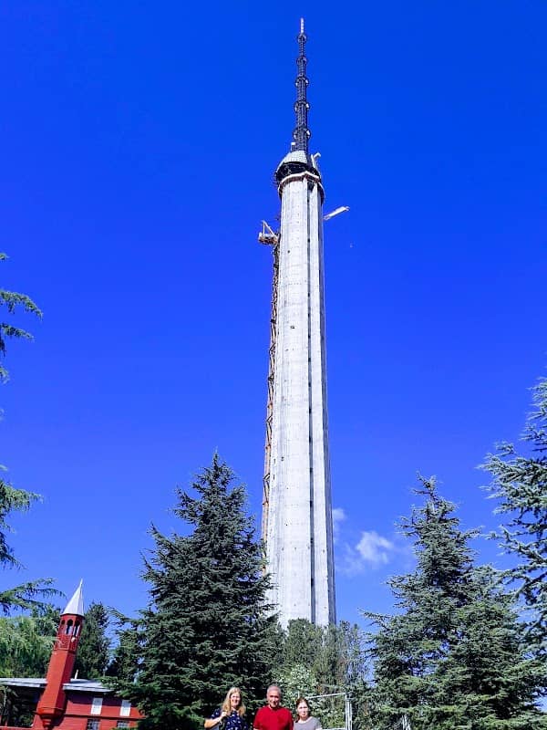 İBB Küçük Çamlıca Korusu - Image 2
