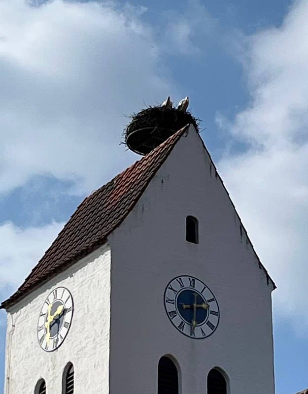 Storchennest - Image 1
