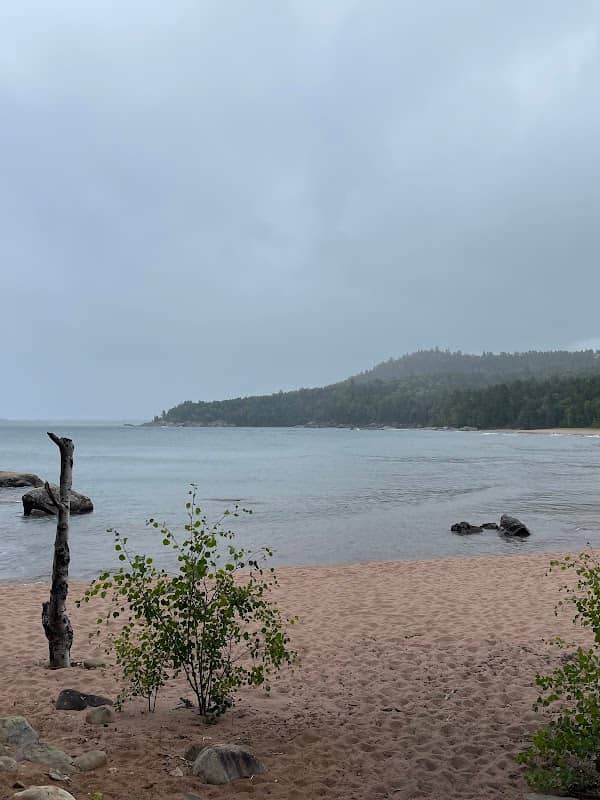 Wetmore Landing Shoreline Trailhead - Image 1