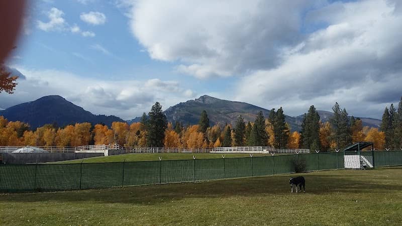 Hamilton Dog Park - Image 1