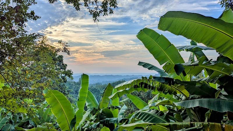 Sunset Hill Valley Bandarban - Image 2