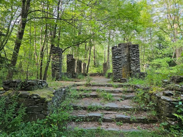 Madame Sherri Forest - Image 1
