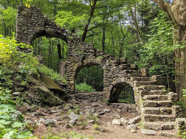 Madame Sherri Forest - Image 3