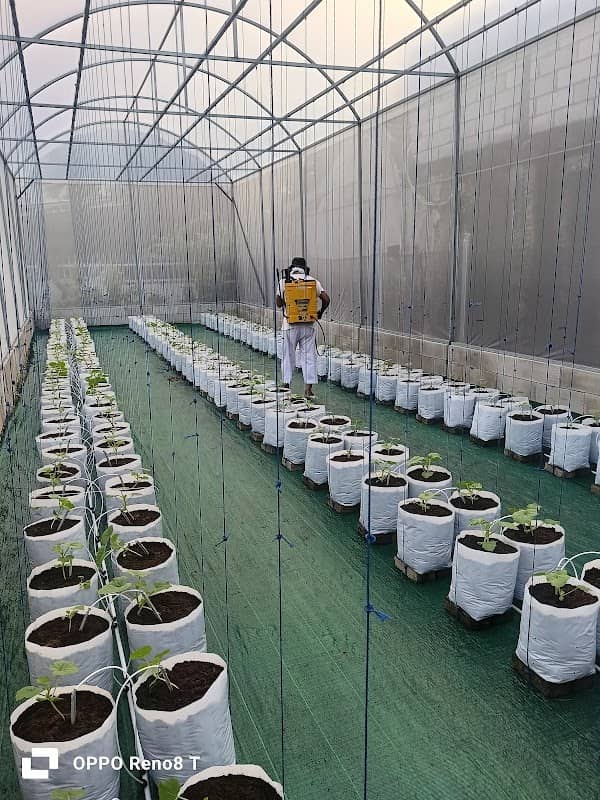 SELARAS FARM π± - Image 1