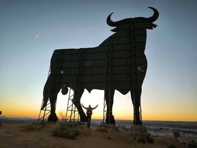 Toro de Osborne de Guadalajara - Image 1