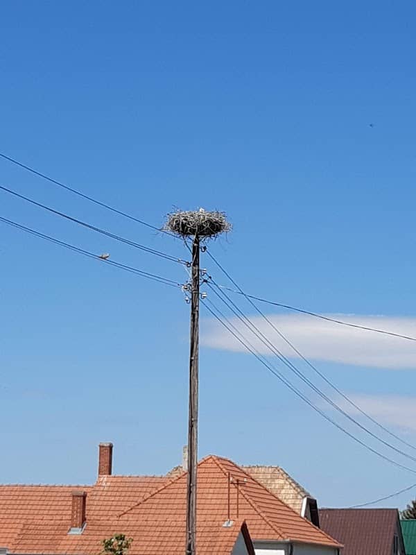 Gólyafészek, Csorna-Csatárimajor, Fő u. - Image 1