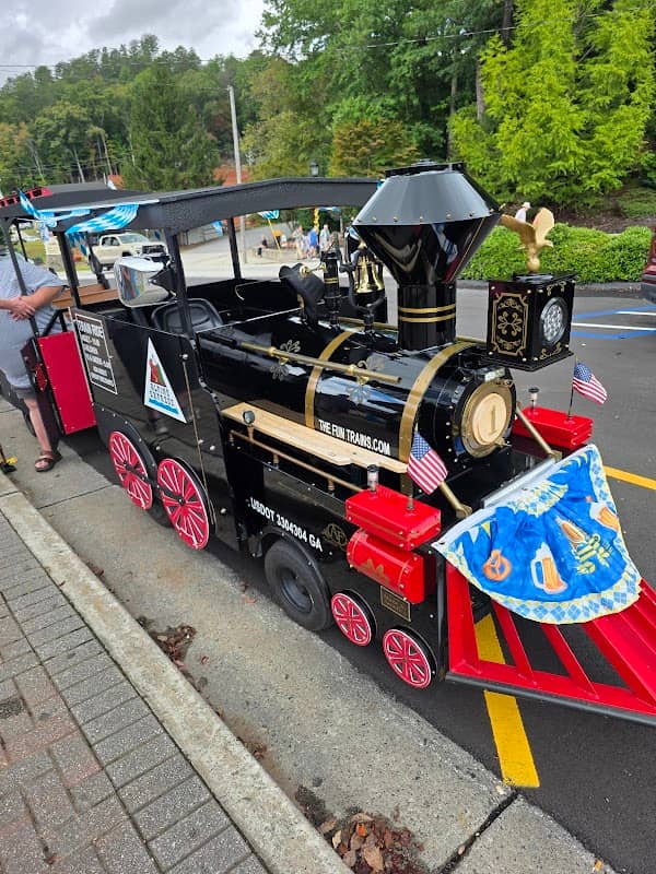 The Fun Trains - Image 1