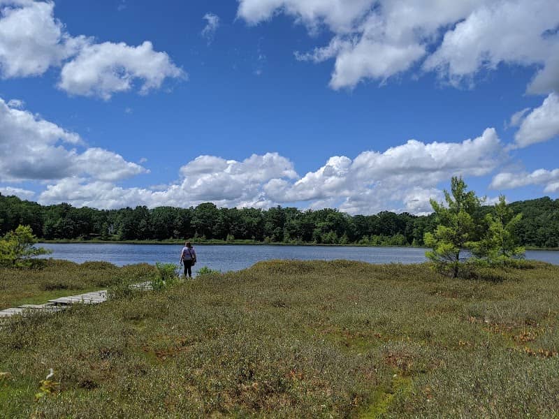 Moss Lake Preserve - Image 2