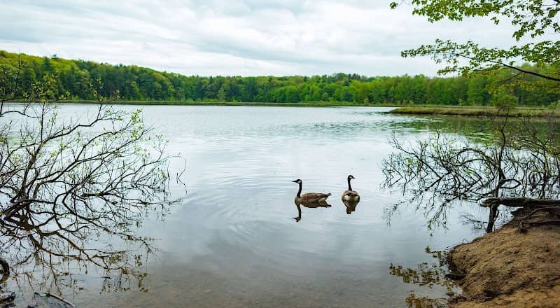 Moss Lake Preserve - Image 1