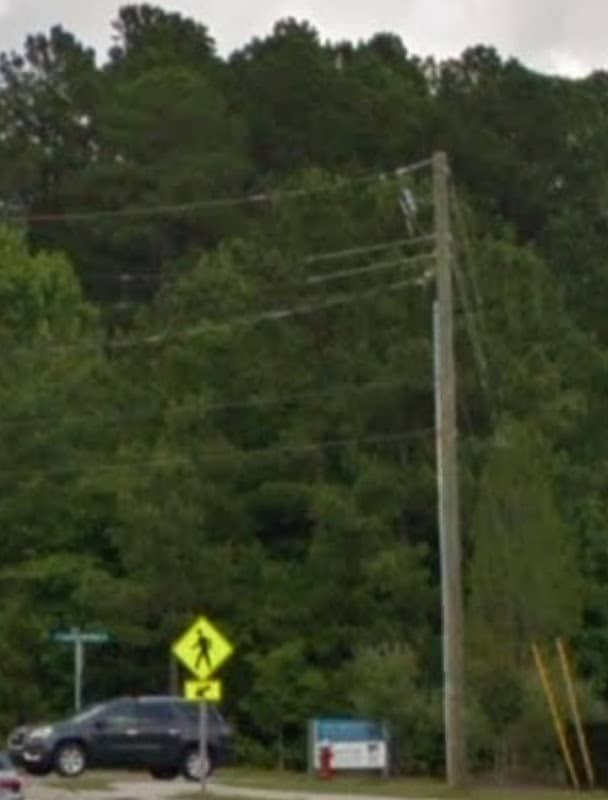 Field 2 - Image 1