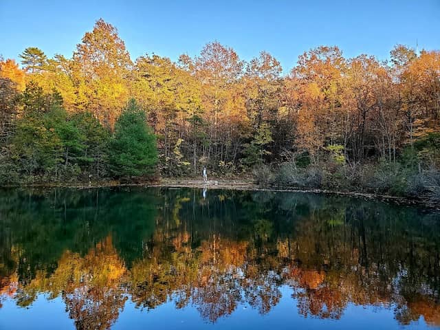 Emerald Pond - Image 1