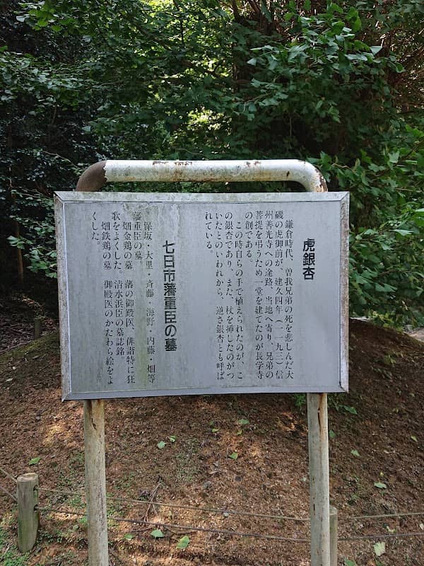 長学寺の大イチョウ - Image 1