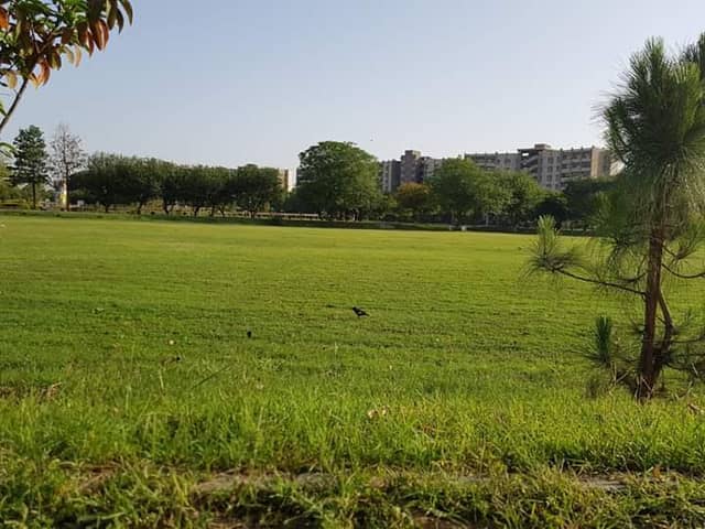 Race Course Park - Image 1