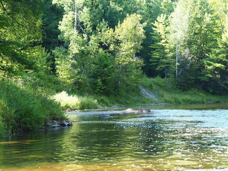 Turtle Park - Image 1