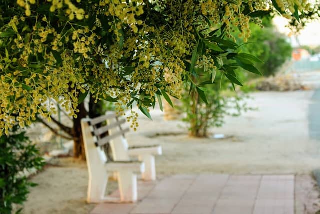 Fintas Walkway - Image 1