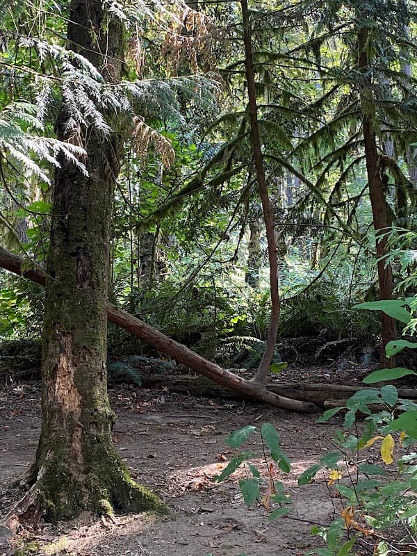 Hide-A-Way Park - Image 1