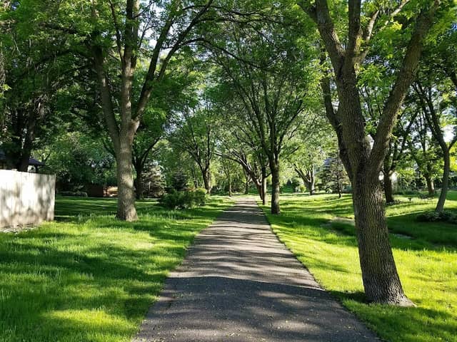 Lions Park - Image 1