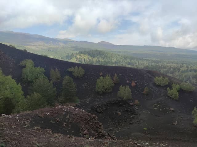 Bosco La Nave - Image 1