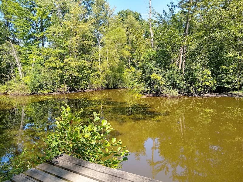 Bradley Woods Reservation - Image 2