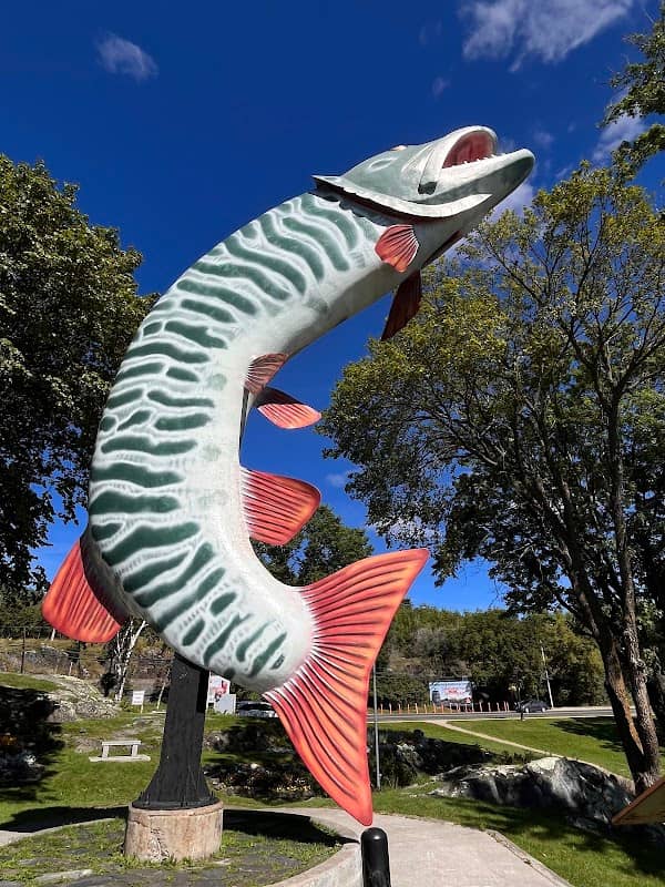 Husky the Muskie - Image 1