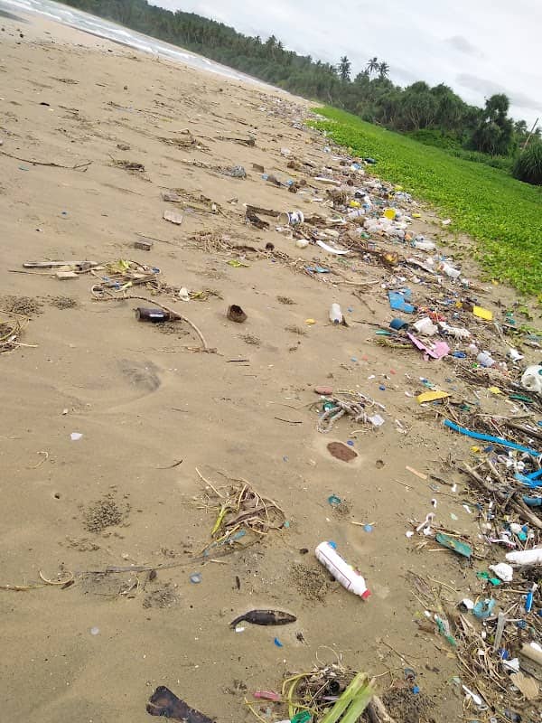 Kudawela beach - Image 2