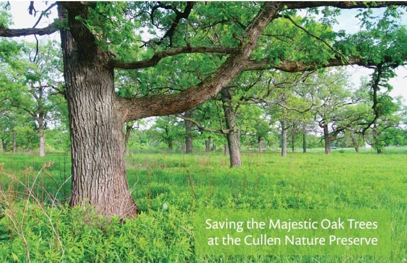 Cullen Nature Preserve - Image 2