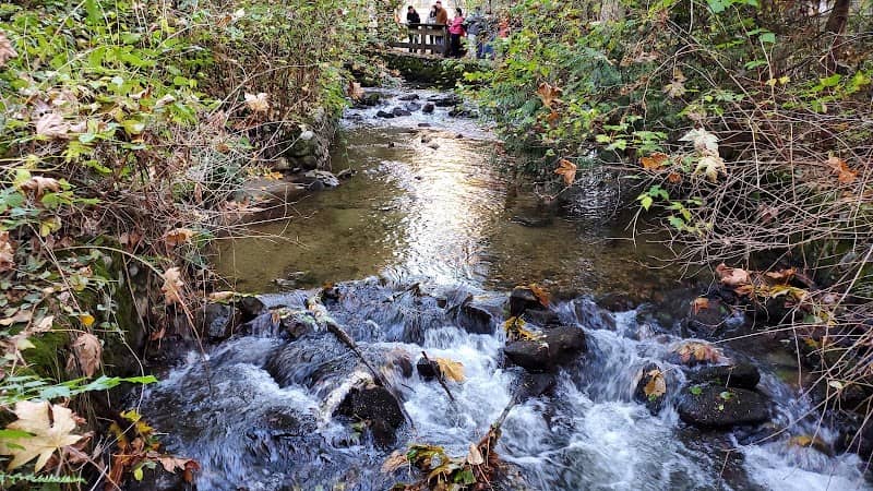 Hoy Creek Hatchery - Image 1