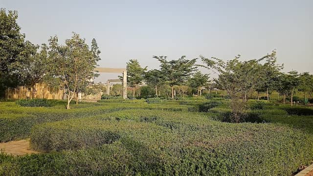 Dravyavati botanical park_ jaipur - Image 1