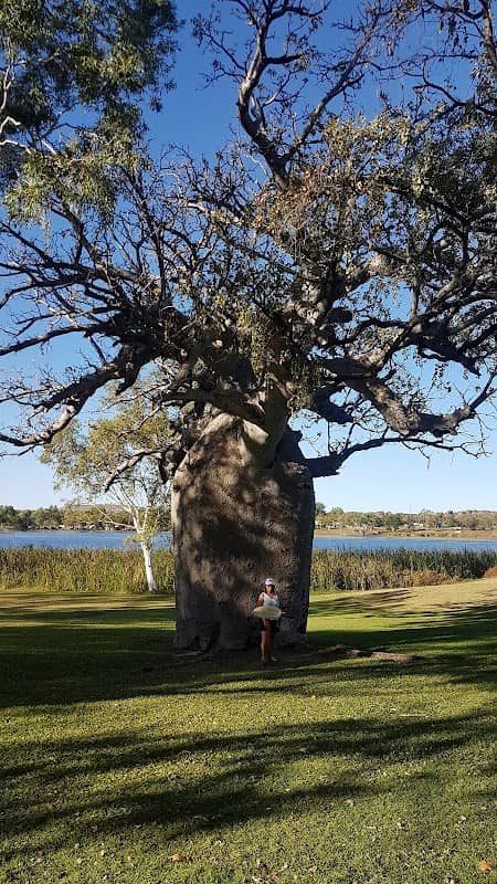 Celebrity Tree Park - Image 1