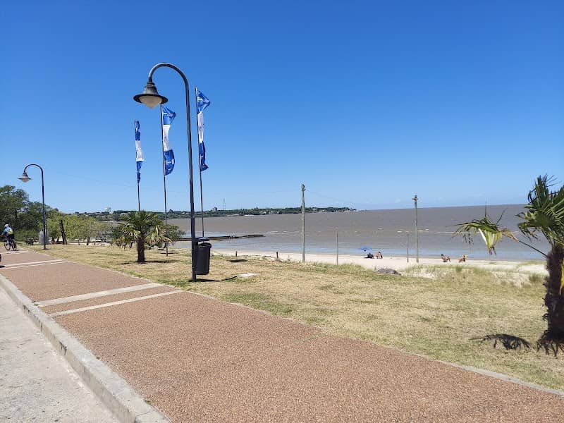 Colonia Del Sacramento Boulevard - Image 3