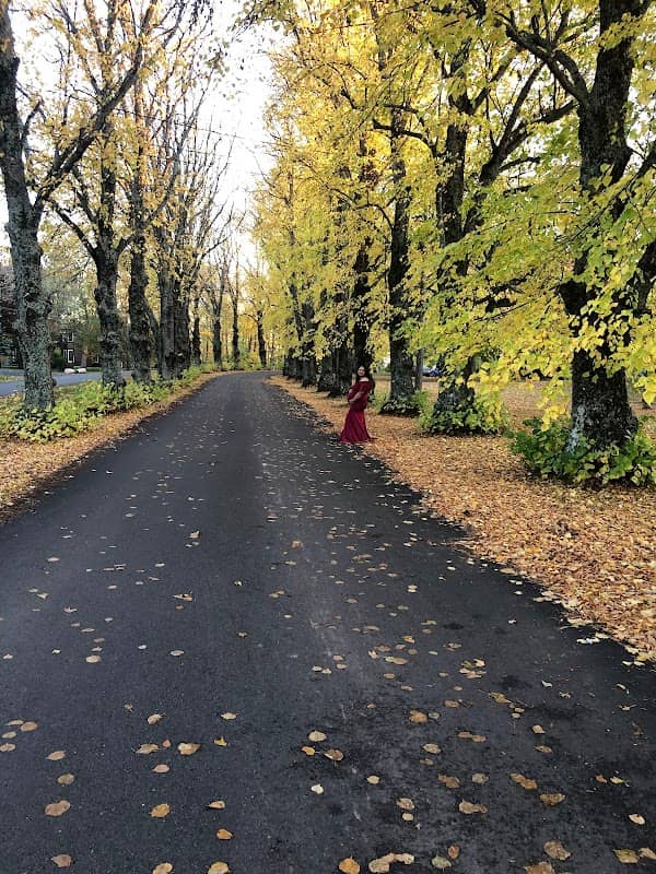 Lewis Point Park - Image 2