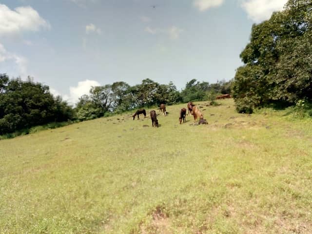 Mount Barry - Image 2