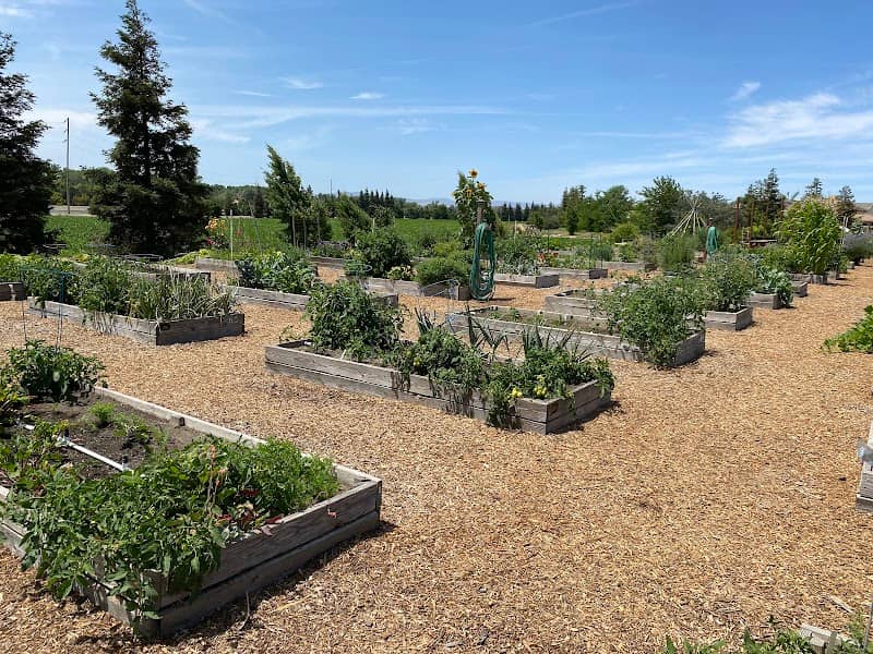 Ripon Community Garden - Image 2
