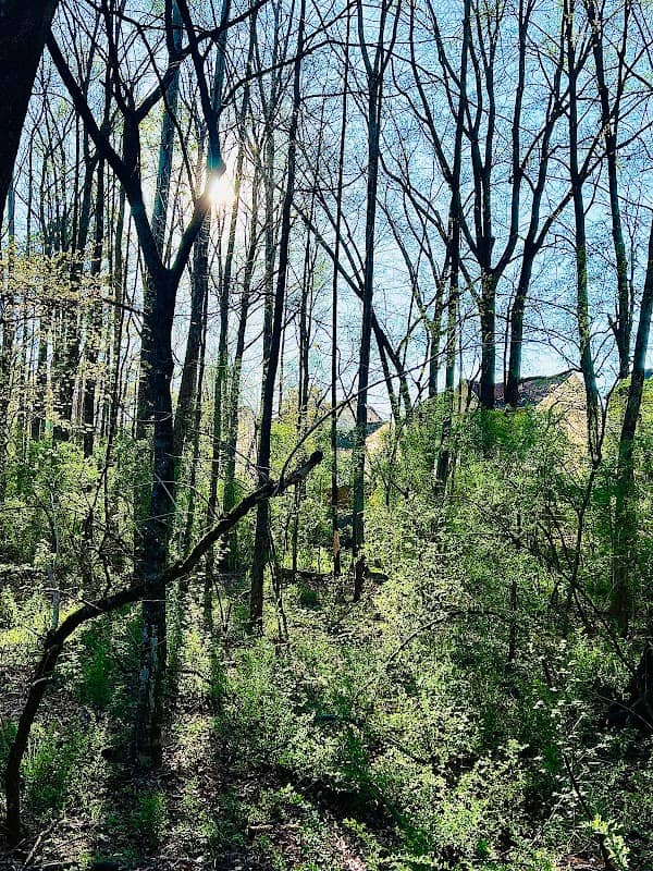 Big Creek - Image 2