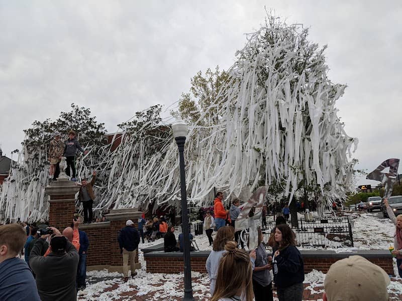 Toomer's Corner - Image 1