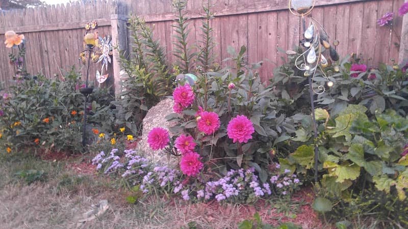 Meadow - Image 1