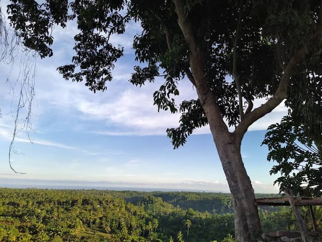 Lorenzo Eco Farm, Sagulong Hill Purok 4 Sitio Camaca Andales, Initao, Misamis Oriental - Image 1