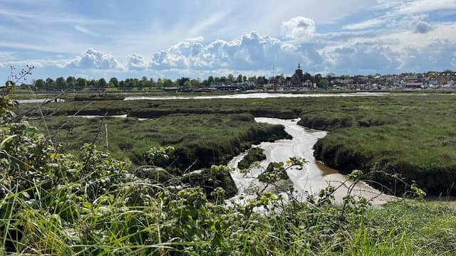 River Chelmer - Image 2
