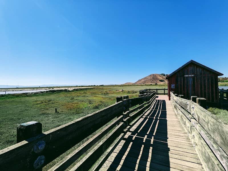 San Francisco Bay National Wildlife Refuge Complex - Image 1