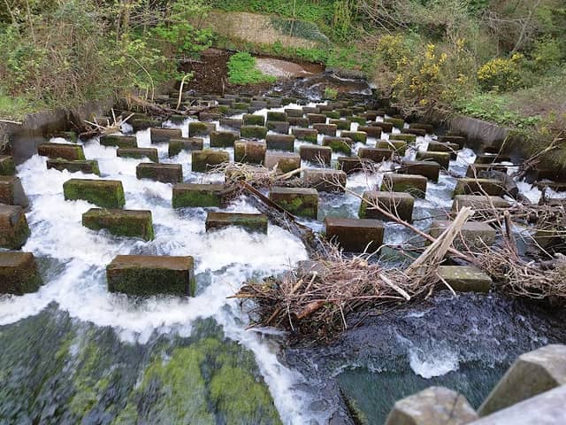 Edmondstown spring (edmondstown road) - Image 1