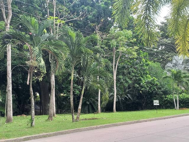 Las Iguanas Park - Image 1