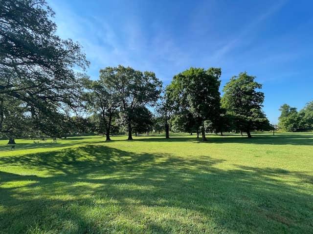 Eagle Mound - Image 1