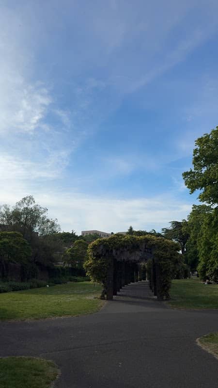 Floral Arch Walkway - Image 3